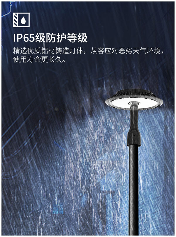 花園別墅 60w 100w 150瓦 戶外庭院小區道路 高桿景觀燈 廠家直銷