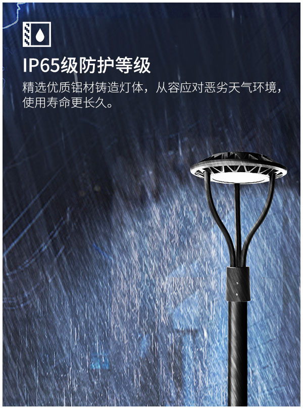 戶外LED庭院燈 100瓦 150W花園綠化別墅小區路燈 光控感應 高桿景觀燈