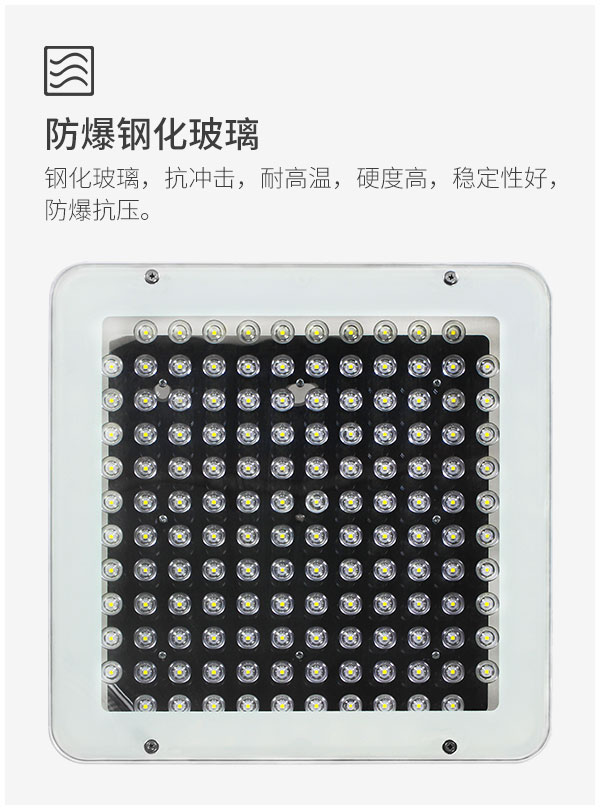 LED防爆燈加油站明裝式吊頂棚應急燈生產(chǎn)廠家