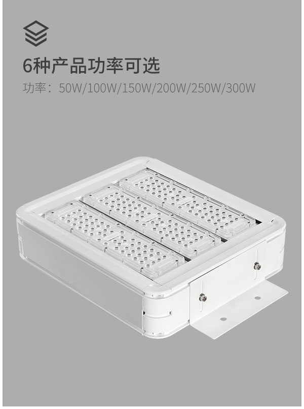 菲龍節(jié)能型LED防爆照明燈 優(yōu)質(zhì)油站燈批發(fā)采購