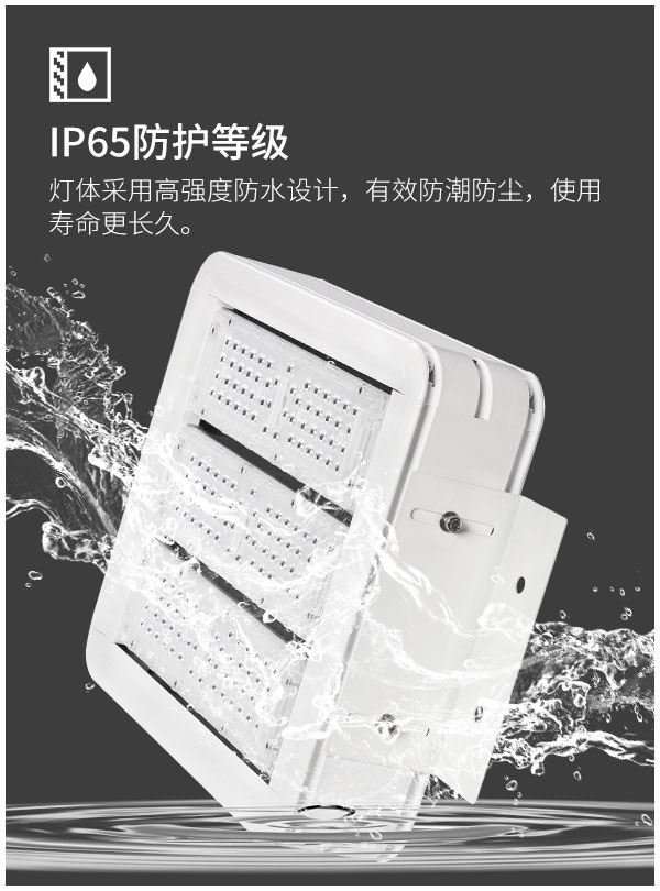 菲龍節(jié)能型LED防爆照明燈 優(yōu)質(zhì)油站燈批發(fā)采購