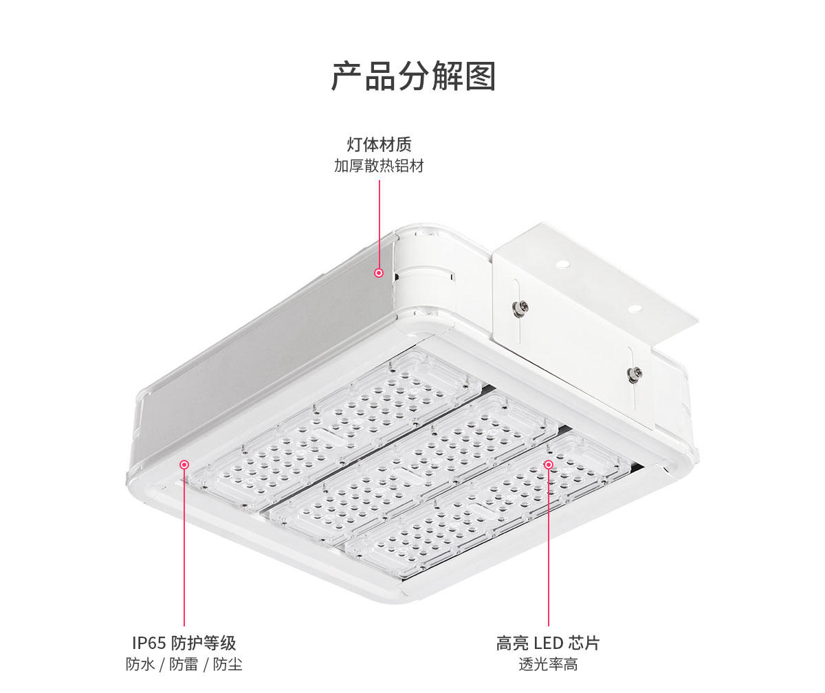 菲龍節(jié)能型LED防爆照明燈 優(yōu)質(zhì)油站燈批發(fā)采購