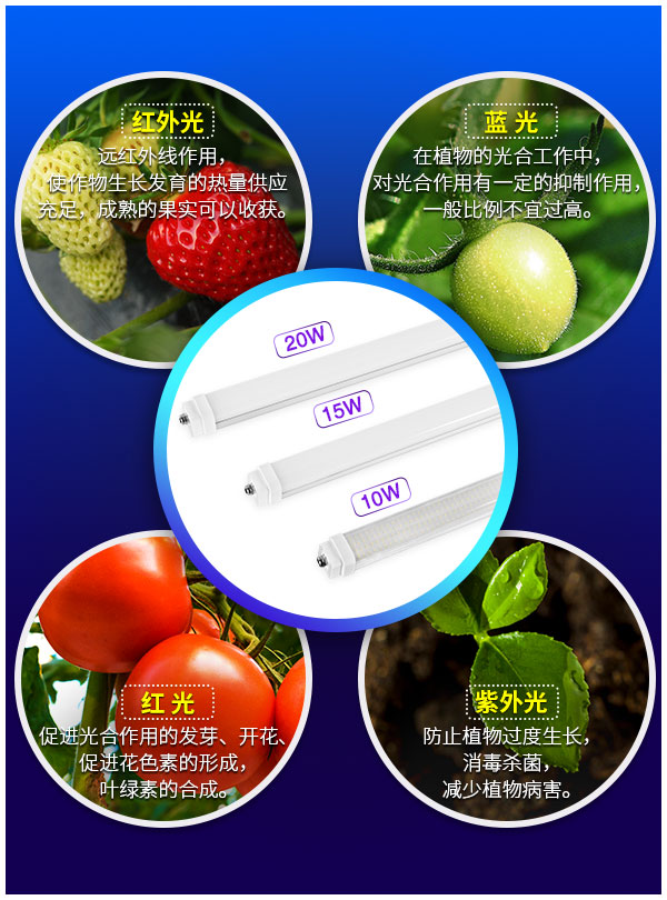 LED線性燈管可連接設計 IP65防水高室內植物LED生長燈