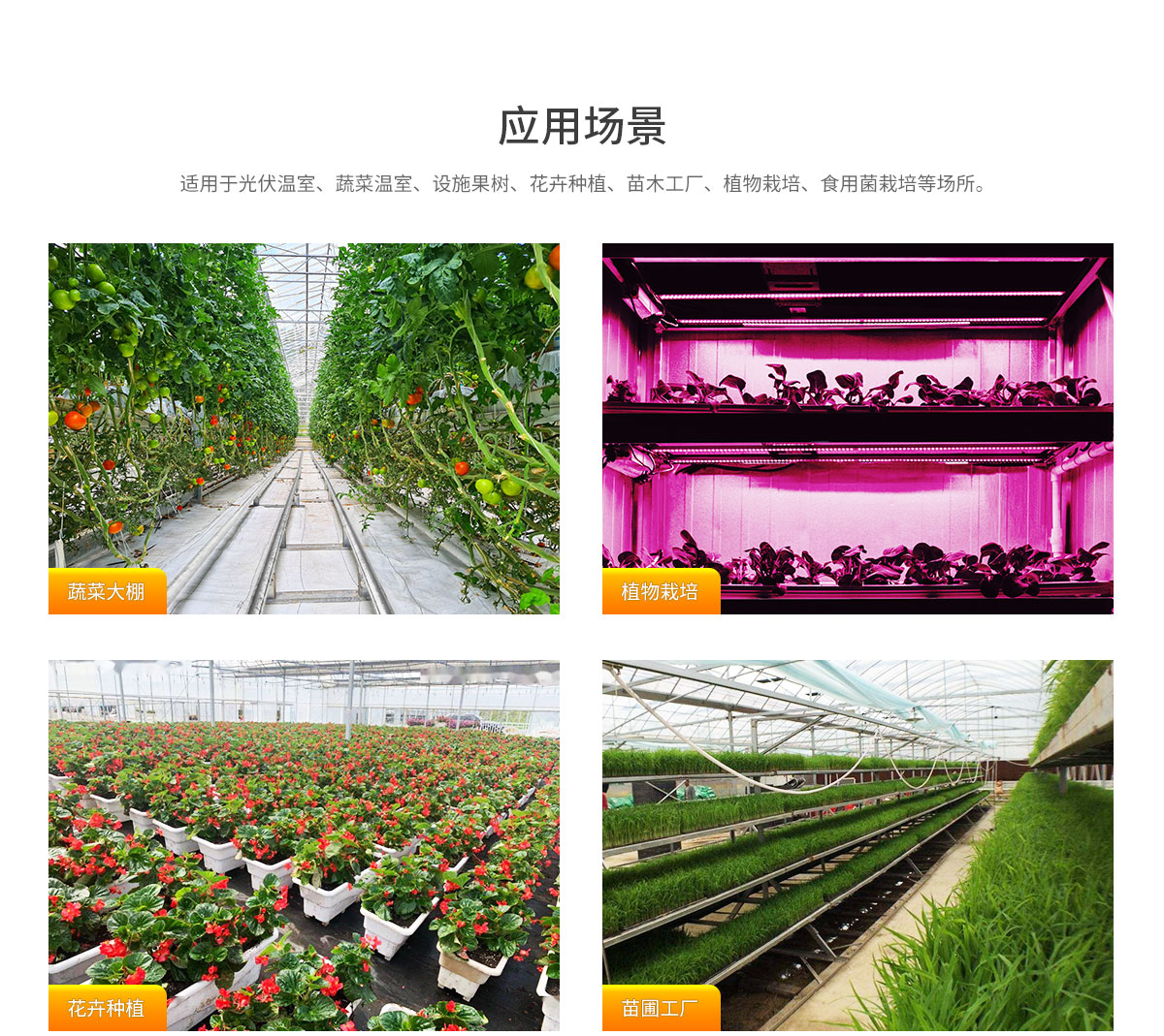 LED線性燈管可連接設計 IP65防水高室內植物LED生長燈