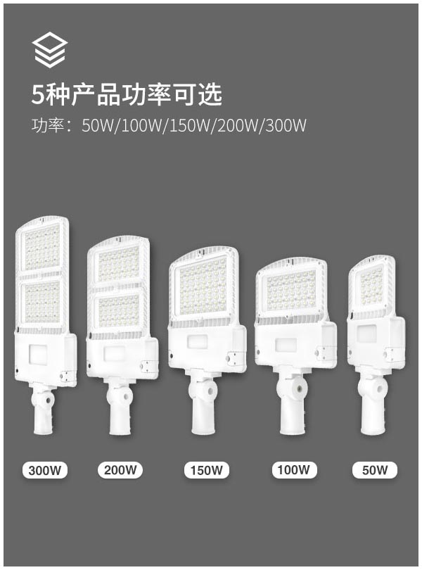2020新款 光傳感器控制 卡扣式安裝 LED道路照明燈FL-LD-GLT1