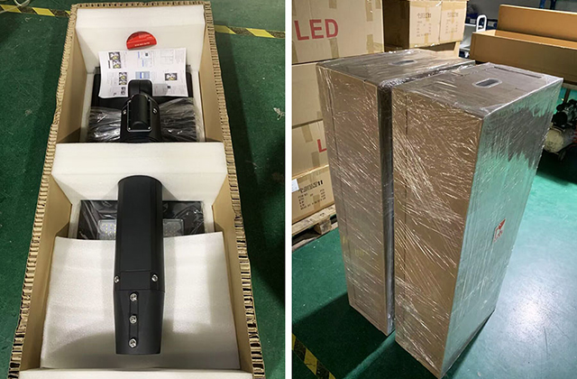 荷蘭雷瓦頓市4G帶監(jiān)控版路燈項(xiàng)目