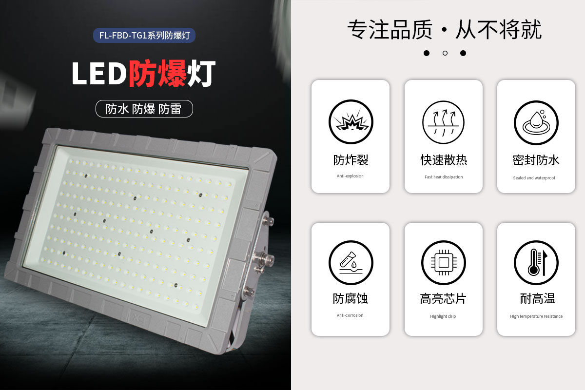菲龍FL-FBD-TG1 IP67 防爆燈,工業倉庫 LED 防爆泛光燈