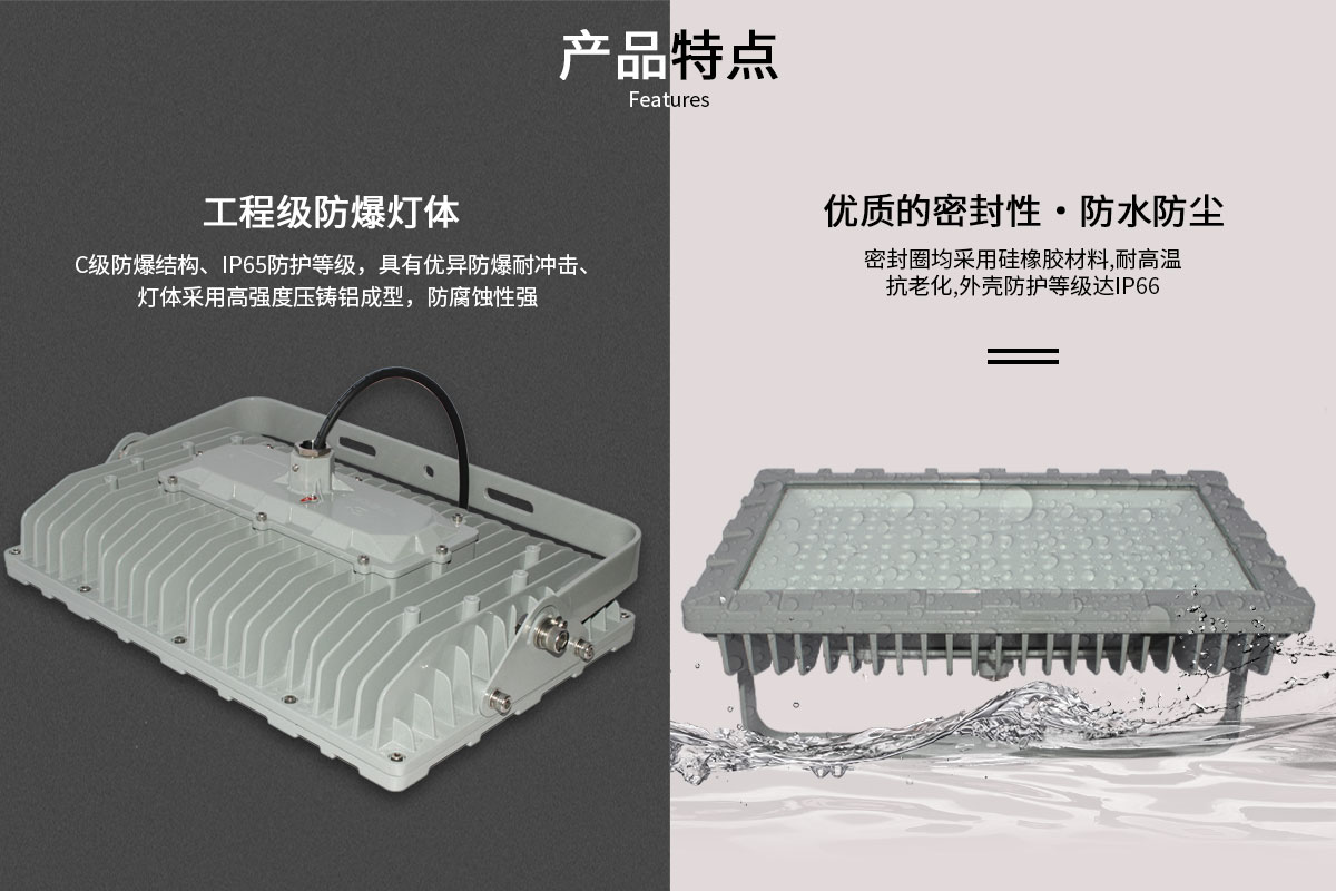 菲龍FL-FBD-TG1 IP67 防爆燈,工業倉庫 LED 防爆泛光燈