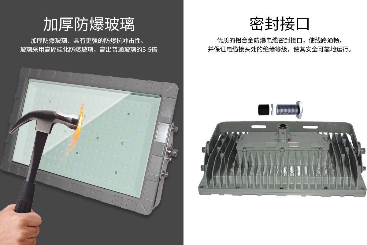 菲龍FL-FBD-TG1 IP67 防爆燈,工業倉庫 LED 防爆泛光燈